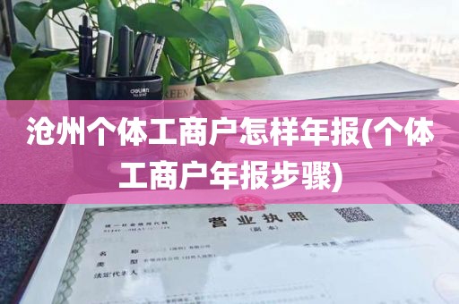 沧州个体工商户怎样年报(个体工商户年报步骤)