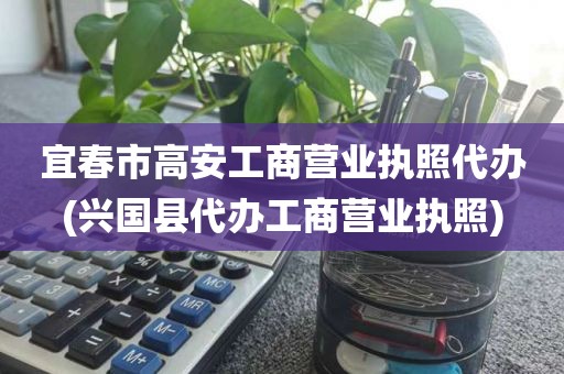 宜春市高安工商营业执照代办(兴国县代办工商营业执照)