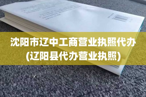 沈阳市辽中工商营业执照代办(辽阳县代办营业执照)