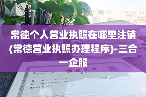 常德个人营业执照在哪里注销(常德营业执照办理程序)-三合一企服