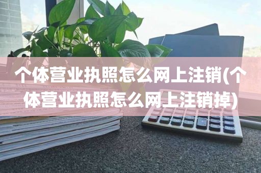 个体营业执照怎么网上注销(个体营业执照怎么网上注销掉)