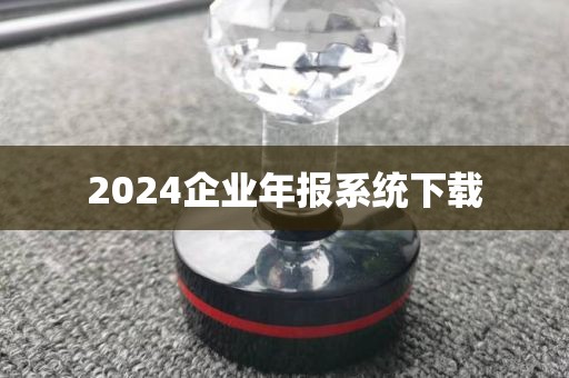 2024企业年报系统下载