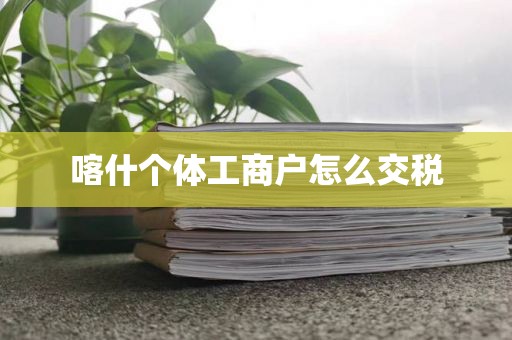 喀什个体工商户怎么交税