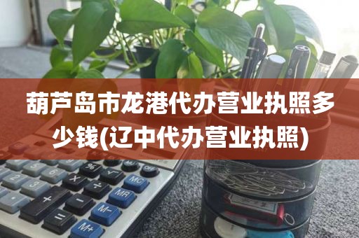 葫芦岛市龙港代办营业执照多少钱(辽中代办营业执照)