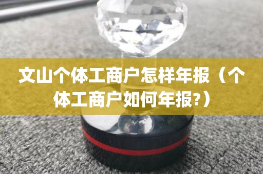 文山个体工商户怎样年报（个体工商户如何年报?）