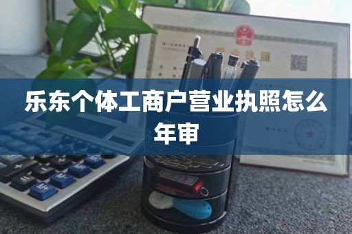 乐东个体工商户营业执照怎么年审
