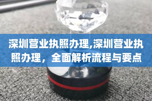 深圳营业执照办理,深圳营业执照办理，全面解析流程与要点