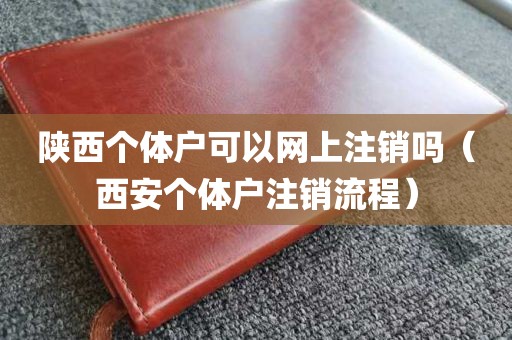 陕西个体户可以网上注销吗（西安个体户注销流程）