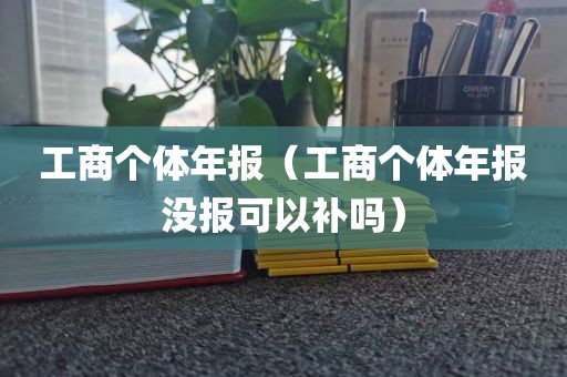 工商个体年报（工商个体年报没报可以补吗）