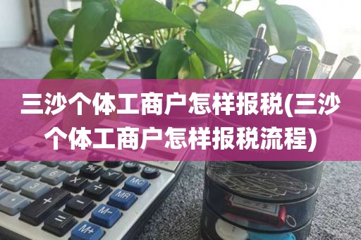三沙个体工商户怎样报税(三沙个体工商户怎样报税流程)