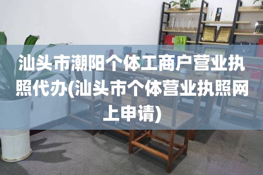 汕头市潮阳个体工商户营业执照代办(汕头市个体营业执照网上申请)