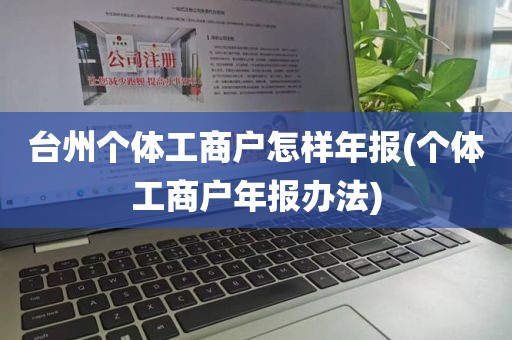 台州个体工商户怎样年报(个体工商户年报办法)