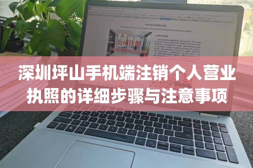 深圳坪山手机端注销个人营业执照的详细步骤与注意事项