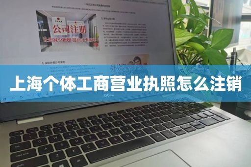上海个体工商营业执照怎么注销