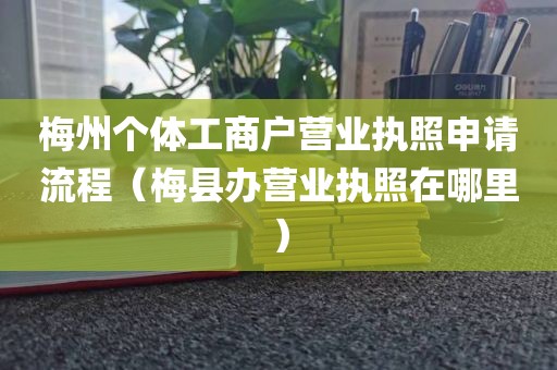 梅州个体工商户营业执照申请流程（梅县办营业执照在哪里）
