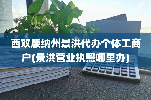 西双版纳州景洪代办个体工商户(景洪营业执照哪里办)