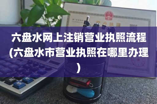 六盘水网上注销营业执照流程(六盘水市营业执照在哪里办理)