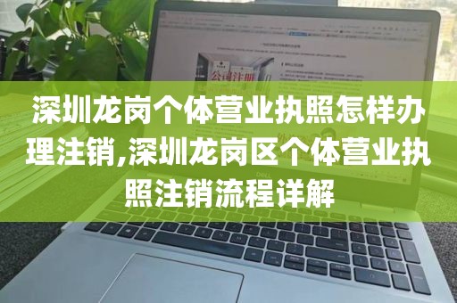 深圳龙岗个体营业执照怎样办理注销,深圳龙岗区个体营业执照注销流程详解