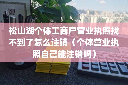 松山湖个体工商户营业执照找不到了怎么注销（个体营业执照自己能注销吗）