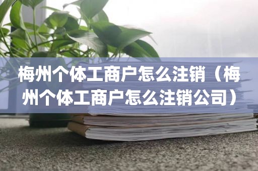 梅州个体工商户怎么注销（梅州个体工商户怎么注销公司）