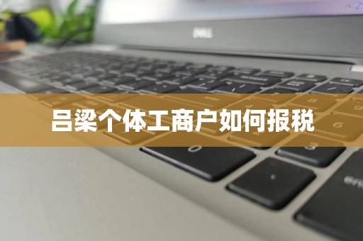 吕梁个体工商户如何报税