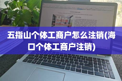 五指山个体工商户怎么注销(海口个体工商户注销)