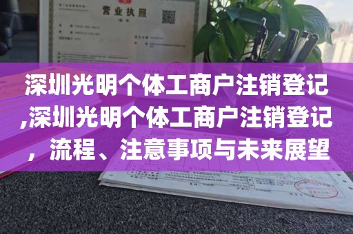 深圳光明个体工商户注销登记,深圳光明个体工商户注销登记,流程、注意事项与未来展望