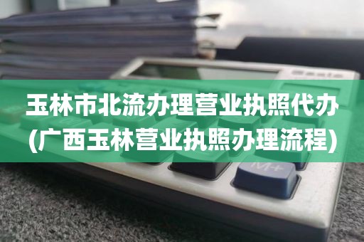 玉林市北流办理营业执照代办(广西玉林营业执照办理流程)