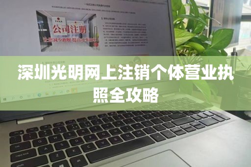 深圳光明网上注销个体营业执照全攻略