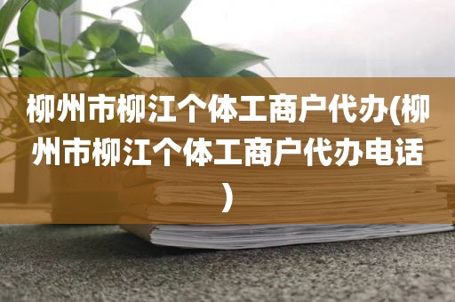 柳州市柳江个体工商户代办(柳州市柳江个体工商户代办电话)