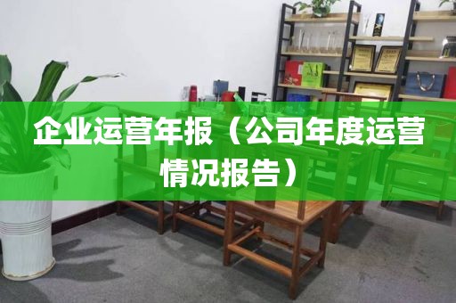 企业运营年报(公司年度运营情况报告)