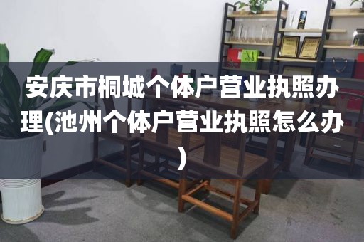 安庆市桐城个体户营业执照办理(池州个体户营业执照怎么办)