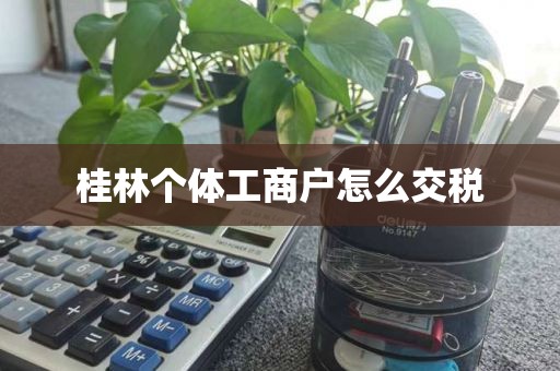 桂林个体工商户怎么交税