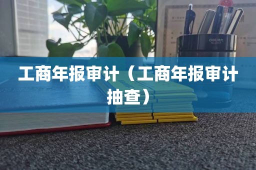 工商年报审计（工商年报审计抽查）