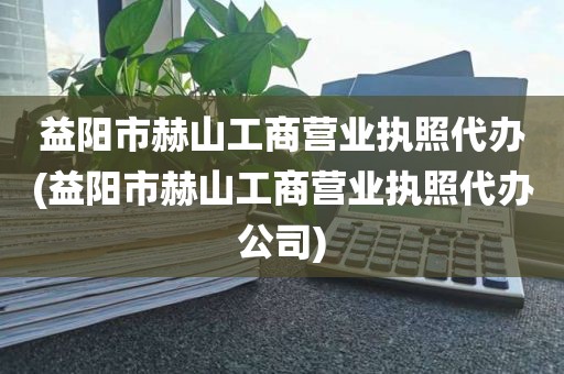 益阳市赫山工商营业执照代办(益阳市赫山工商营业执照代办公司)