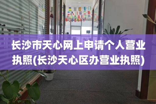 长沙市天心网上申请个人营业执照(长沙天心区办营业执照)