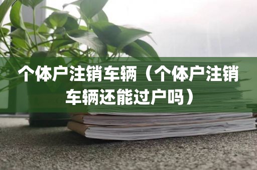 个体户注销车辆（个体户注销车辆还能过户吗）