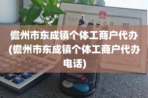 儋州市东成镇个体工商户代办(儋州市东成镇个体工商户代办电话)