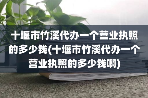 十堰市竹溪代办一个营业执照的多少钱(十堰市竹溪代办一个营业执照的多少钱啊)