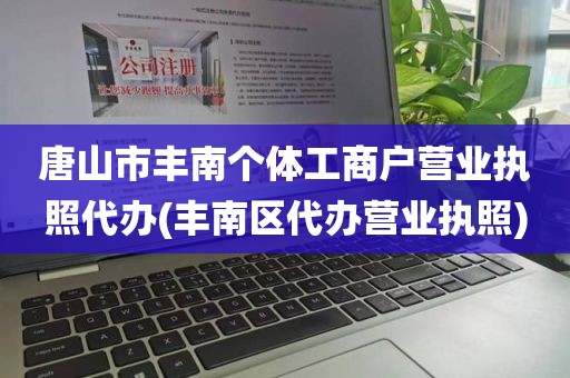 唐山市丰南个体工商户营业执照代办(丰南区代办营业执照)