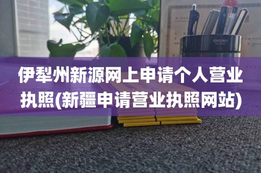 伊犁州新源网上申请个人营业执照(新疆申请营业执照网站)