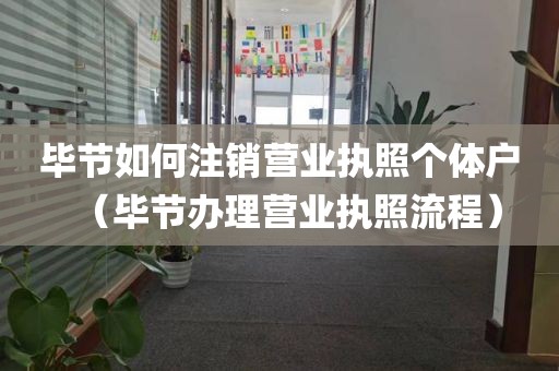 毕节如何注销营业执照个体户（毕节办理营业执照流程）