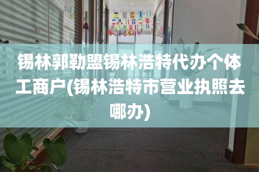 锡林郭勒盟锡林浩特代办个体工商户(锡林浩特市营业执照去哪办)