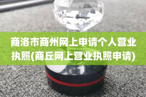 商洛市商州网上申请个人营业执照(商丘网上营业执照申请)