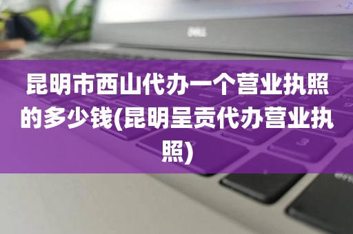昆明市西山代办一个营业执照的多少钱(昆明呈贡代办营业执照)