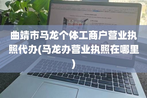 曲靖市马龙个体工商户营业执照代办(马龙办营业执照在哪里)