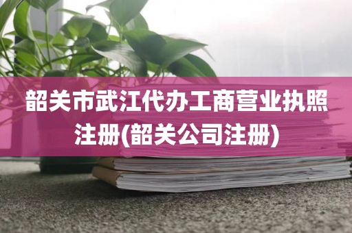 韶关市武江代办工商营业执照注册(韶关公司注册)