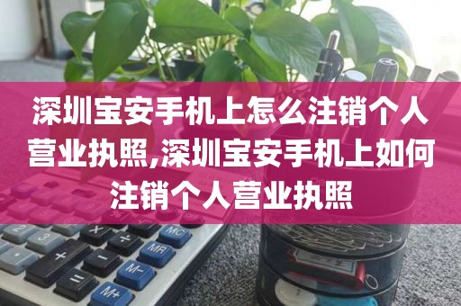 深圳宝安手机上怎么注销个人营业执照,深圳宝安手机上如何注销个人营业执照