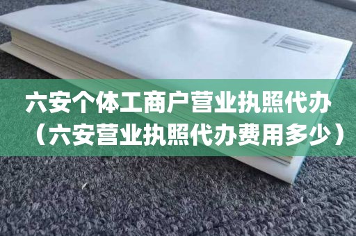 六安个体工商户营业执照代办（六安营业执照代办费用多少）
