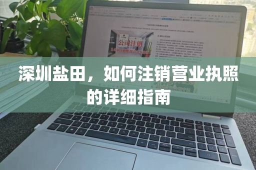 深圳盐田，如何注销营业执照的详细指南